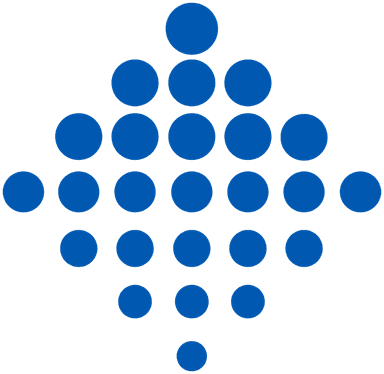 Parnasoft Technologies Logo